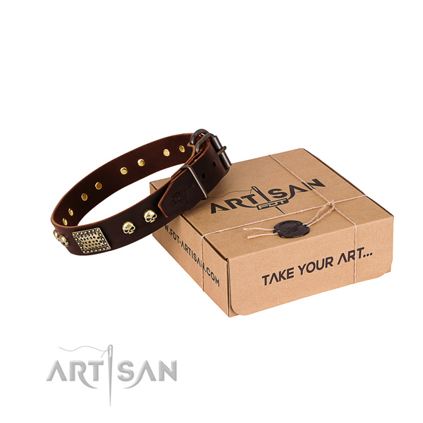 Rust resistant fittings on dog collar for comfortable wearing