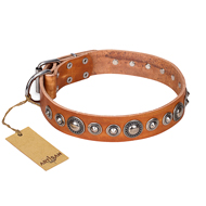 "Daily Chic" FDT Artisan Tan Leather Mastiff Collar with Decorations