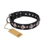 "Silver Charm" FDT Artisan Leather Mastiff Collar with Silvery-Plated Large Square Studs