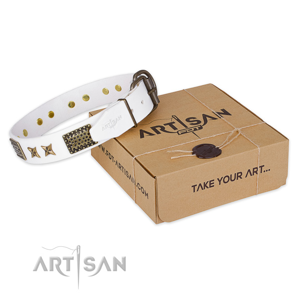 Corrosion resistant D-ring on full grain natural leather collar for your lovely pet