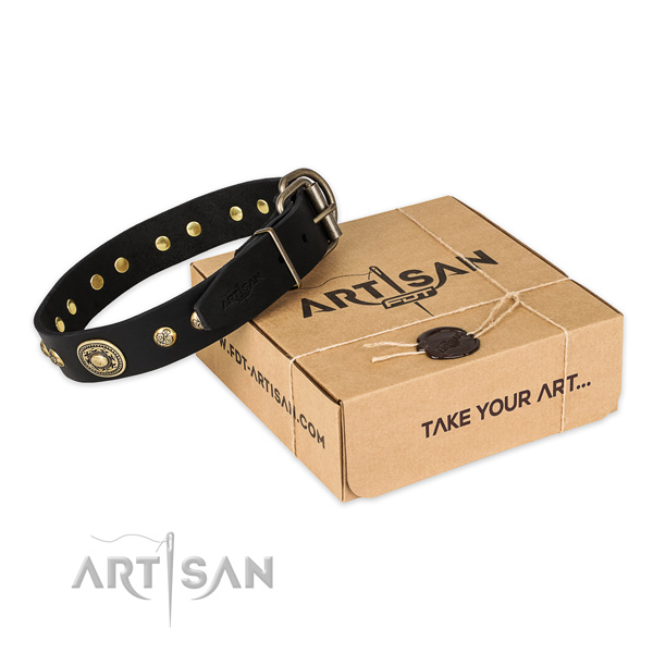 Corrosion resistant hardware on leather dog collar for everyday walking