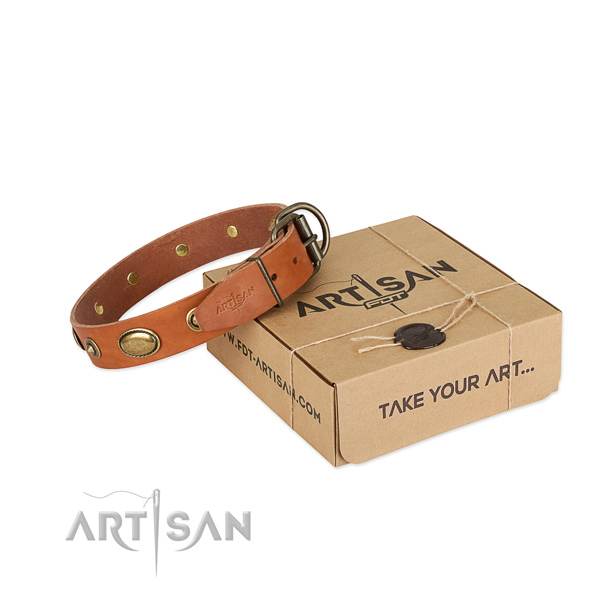 Comfortable full grain leather collar for your attractive doggie