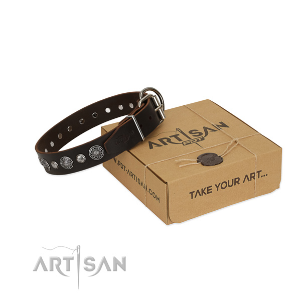 Quality full grain leather dog collar with fashionable adornments