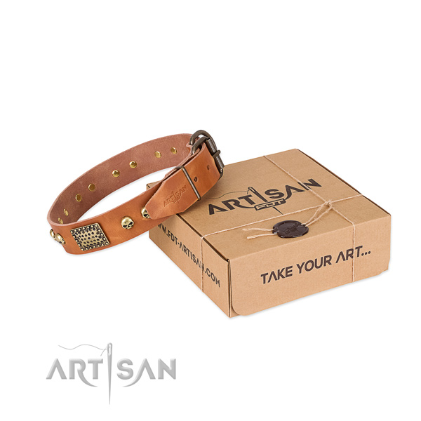 Strong hardware on dog collar for handy use