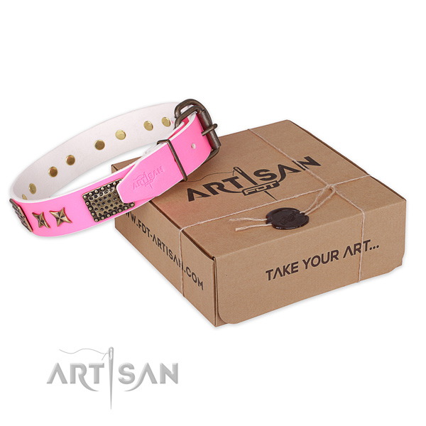 Reliable D-ring on leather collar for your impressive pet