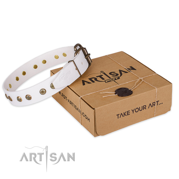 Corrosion proof D-ring on full grain leather collar for your attractive canine