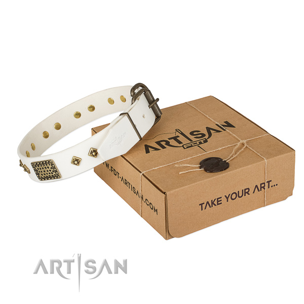 Stylish full grain leather collar for your attractive canine