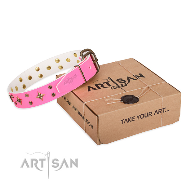 Daily use dog collar of fine quality leather with decorations