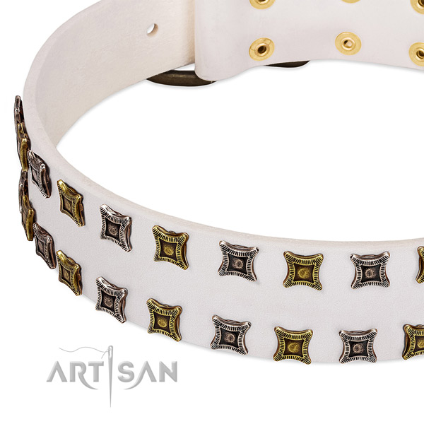 Full grain genuine leather dog collar with adornments for your attractive canine