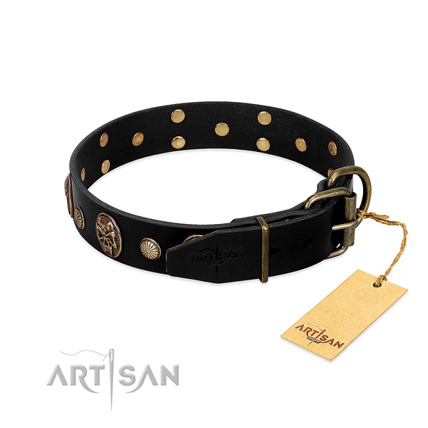 Strong fittings on leather collar for walking your dog