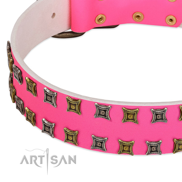 Leather dog collar with fashionable decorations