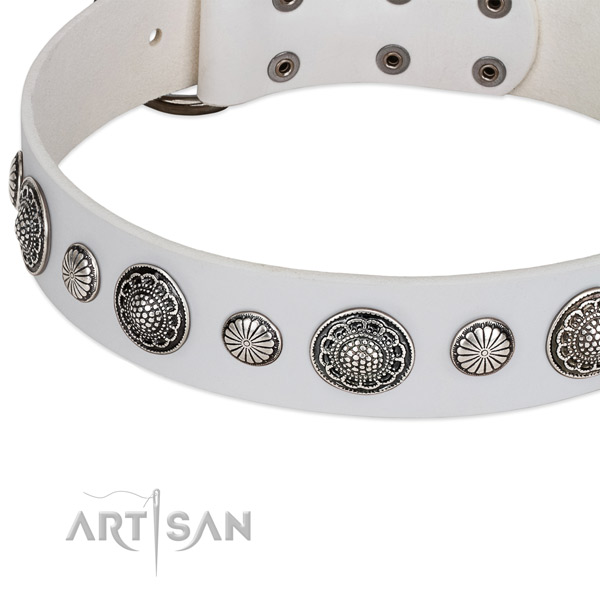 Full grain genuine leather collar with durable buckle for your stylish pet
