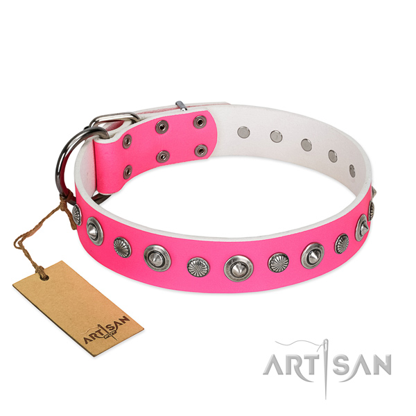 Fine quality full grain genuine leather dog collar with incredible studs