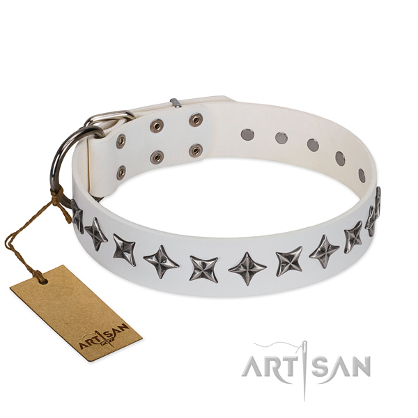 Everyday use dog collar of durable leather with adornments