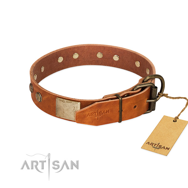 Strong D-ring on handy use dog collar