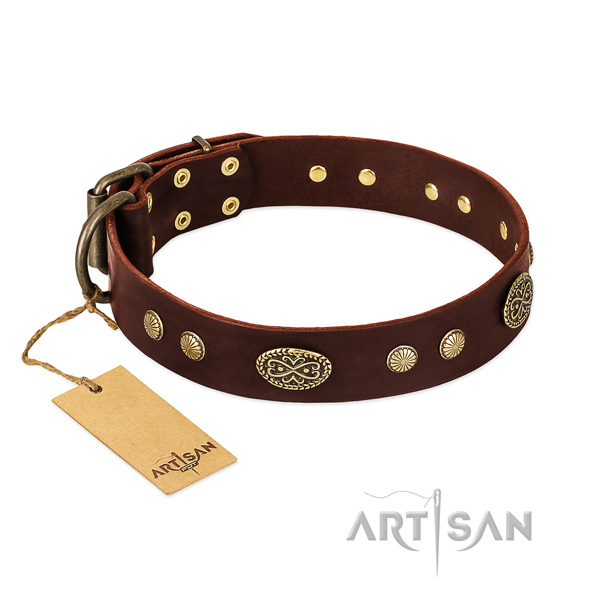 Strong studs on genuine leather dog collar for your doggie