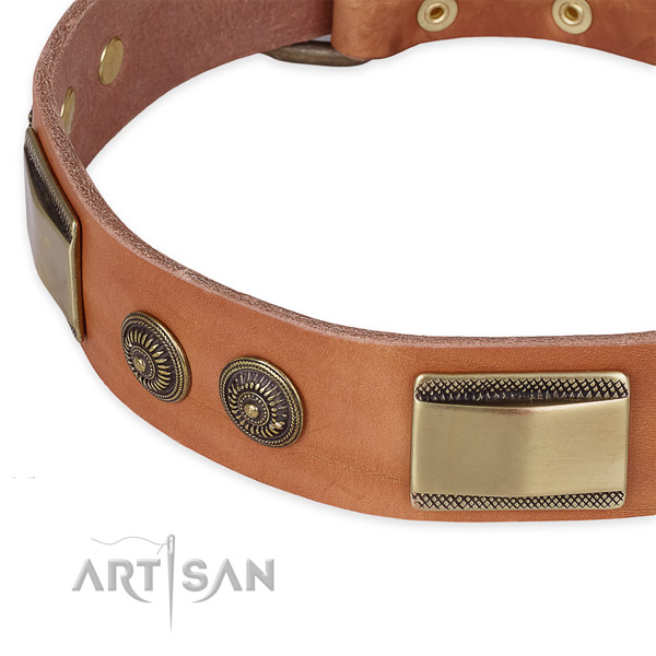 Extraordinary leather collar for your impressive pet