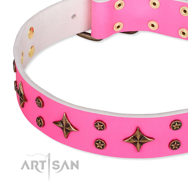 Everyday walking decorated dog collar of finest quality natural leather