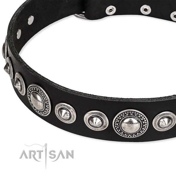 Stylish walking decorated dog collar of best quality full grain leather