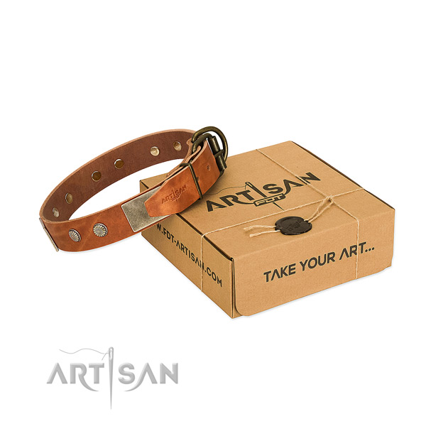 Corrosion resistant studs on dog collar for easy wearing