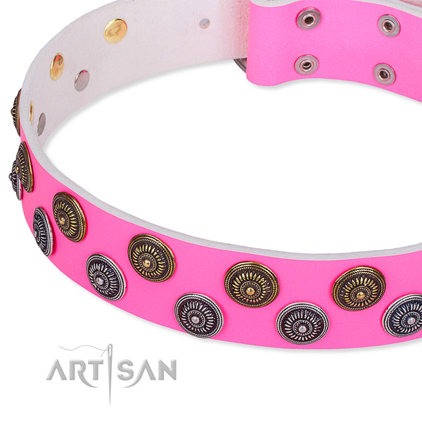 Handy use embellished dog collar of high quality full grain leather