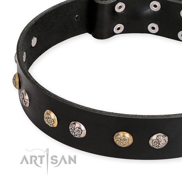Full grain natural leather dog collar with remarkable rust resistant decorations