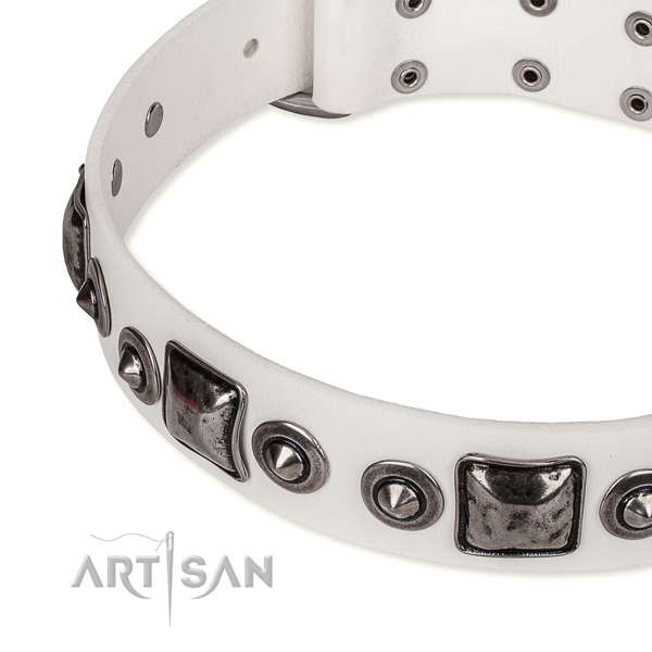 Top notch full grain natural leather dog collar made for your handsome pet