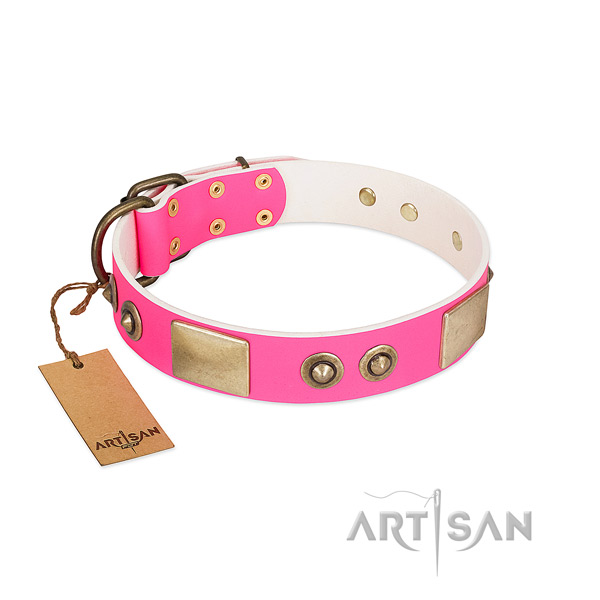 Corrosion resistant fittings on full grain genuine leather dog collar for your canine