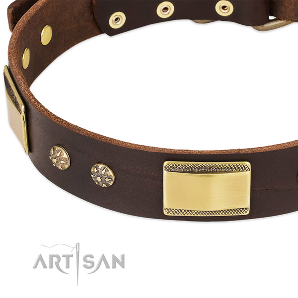 Strong adornments on full grain genuine leather dog collar for your four-legged friend