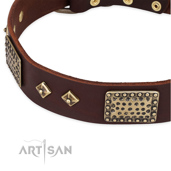 Rust-proof traditional buckle on genuine leather dog collar for your doggie