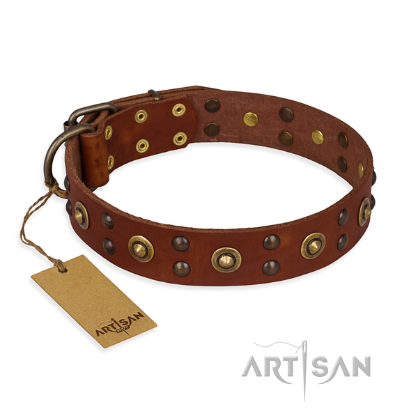 Adorned full grain genuine leather dog collar with reliable D-ring