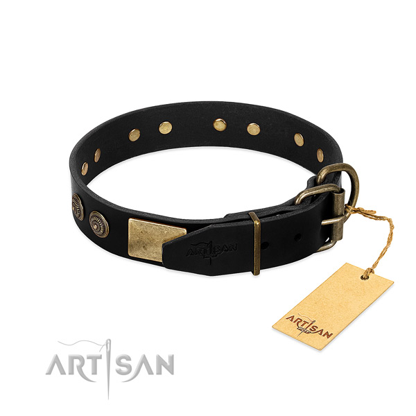 Corrosion resistant fittings on leather dog collar for your dog