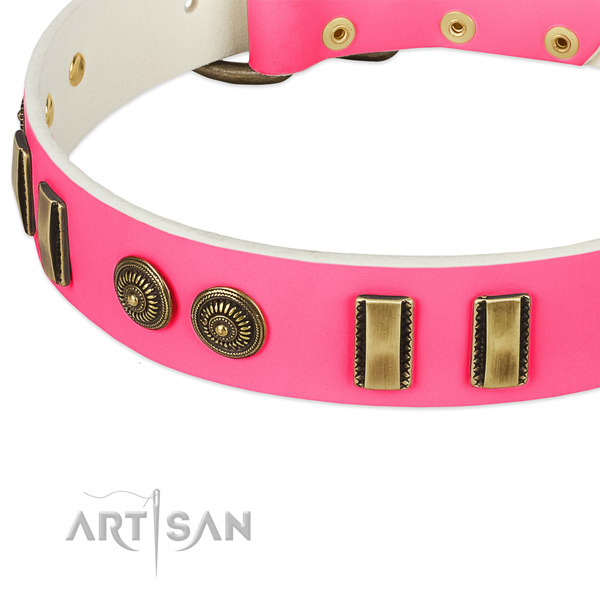Corrosion resistant embellishments on full grain natural leather dog collar for your dog