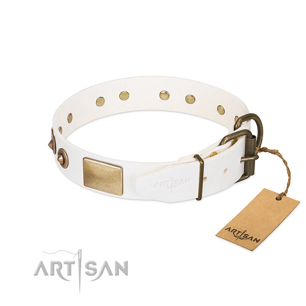 Rust-proof D-ring on natural genuine leather dog collar for your dog