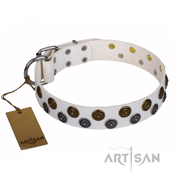 Basic training dog collar of finest quality leather with studs
