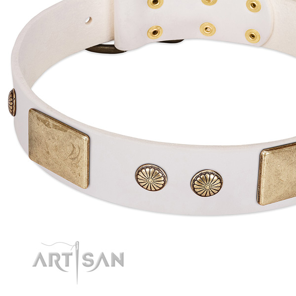 Corrosion proof embellishments on natural leather dog collar for your pet