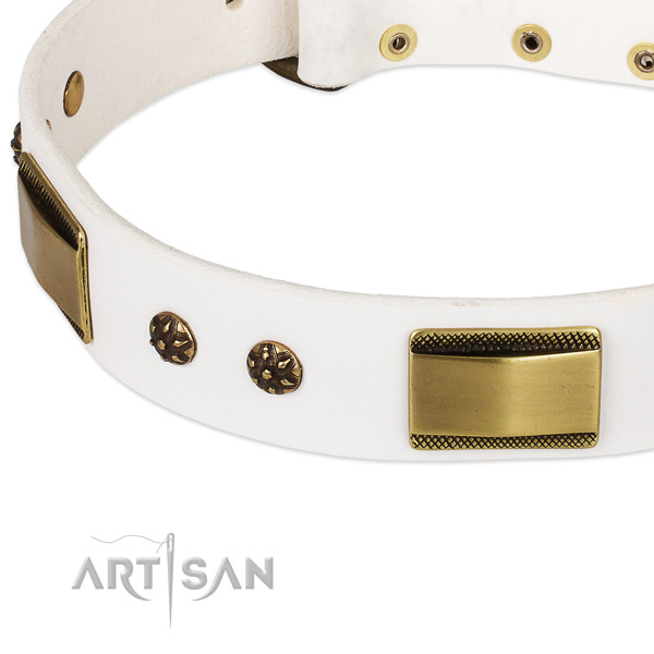 Rust-proof hardware on leather dog collar for your canine