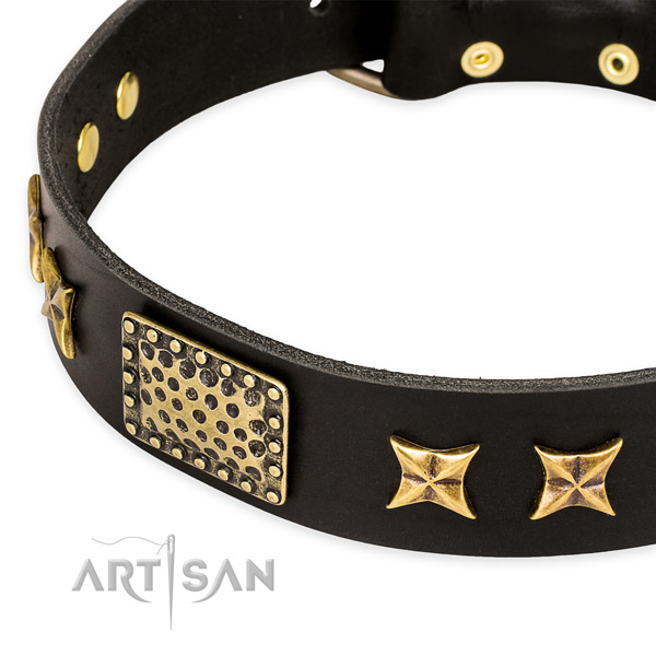 Natural genuine leather collar with durable hardware for your stylish canine