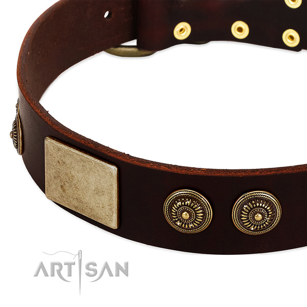 Reliable decorations on leather dog collar for your dog