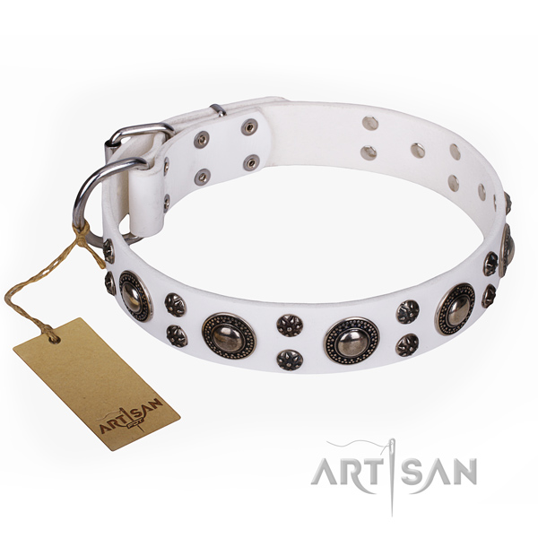 Daily walking dog collar of finest quality genuine leather with embellishments