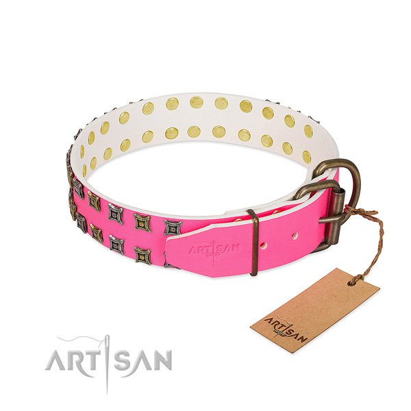 Full grain leather collar with exceptional embellishments for your four-legged friend