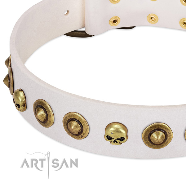 Exquisite studs on full grain genuine leather collar for your four-legged friend
