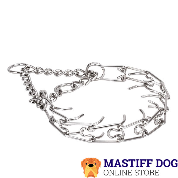 Rust proof stainless steel pinch collar for badly behaved dogs