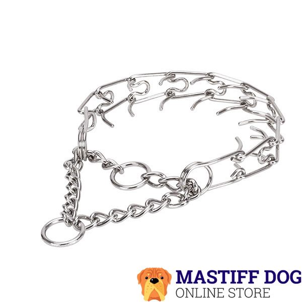 Pinch collar of rust resistant stainless steel for poorly behaved canines