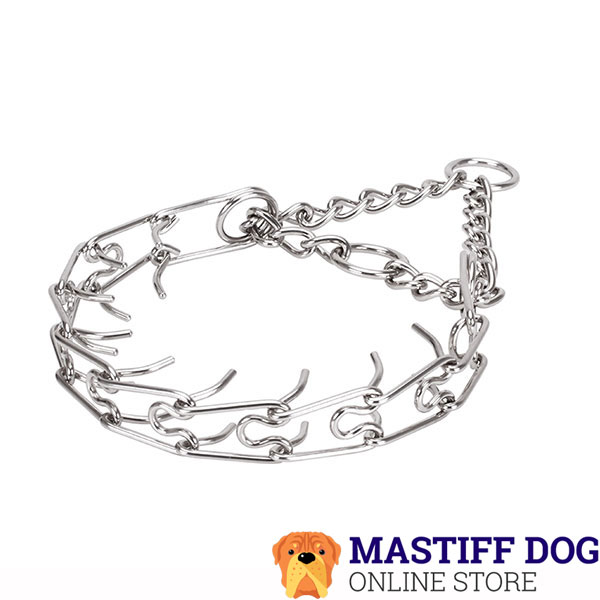 Durable prong collar with stainless steel O-ring for attaching a leash