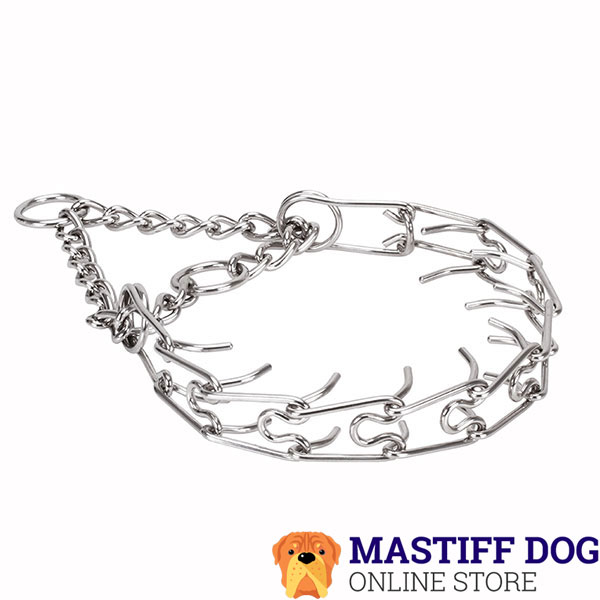 Prong collar of durable stainless steel for badly behaved pets