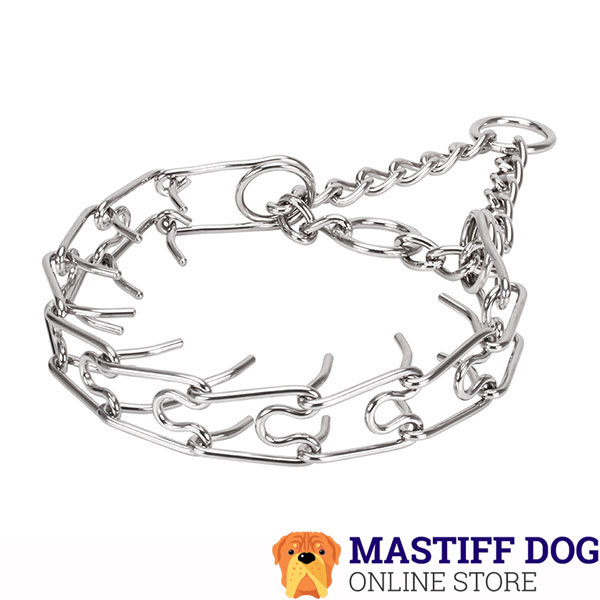 Dog pinch collar of reliable stainless steel for large breeds