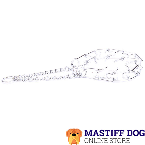 Chrome plated steel dog pinch collar for poorly behaved canines