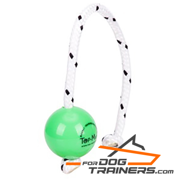 Dog green ball with a magnet inside