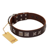 "Needle Stories" Modern FDT Artisan Brown Leather Mastiff Collar with Square Engraved Plates and Four-Point Stars